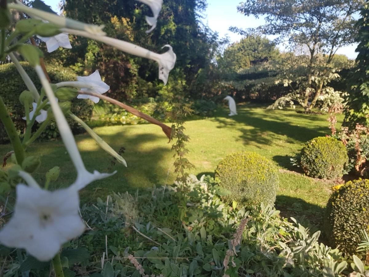 Le Clos Falaw Azay-sur-Cher Exteriér fotografie