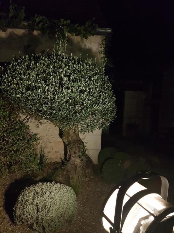 Le Clos Falaw Azay-sur-Cher Exteriér fotografie